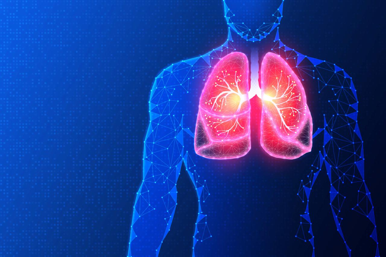 Illustration of lungs inside of a human body