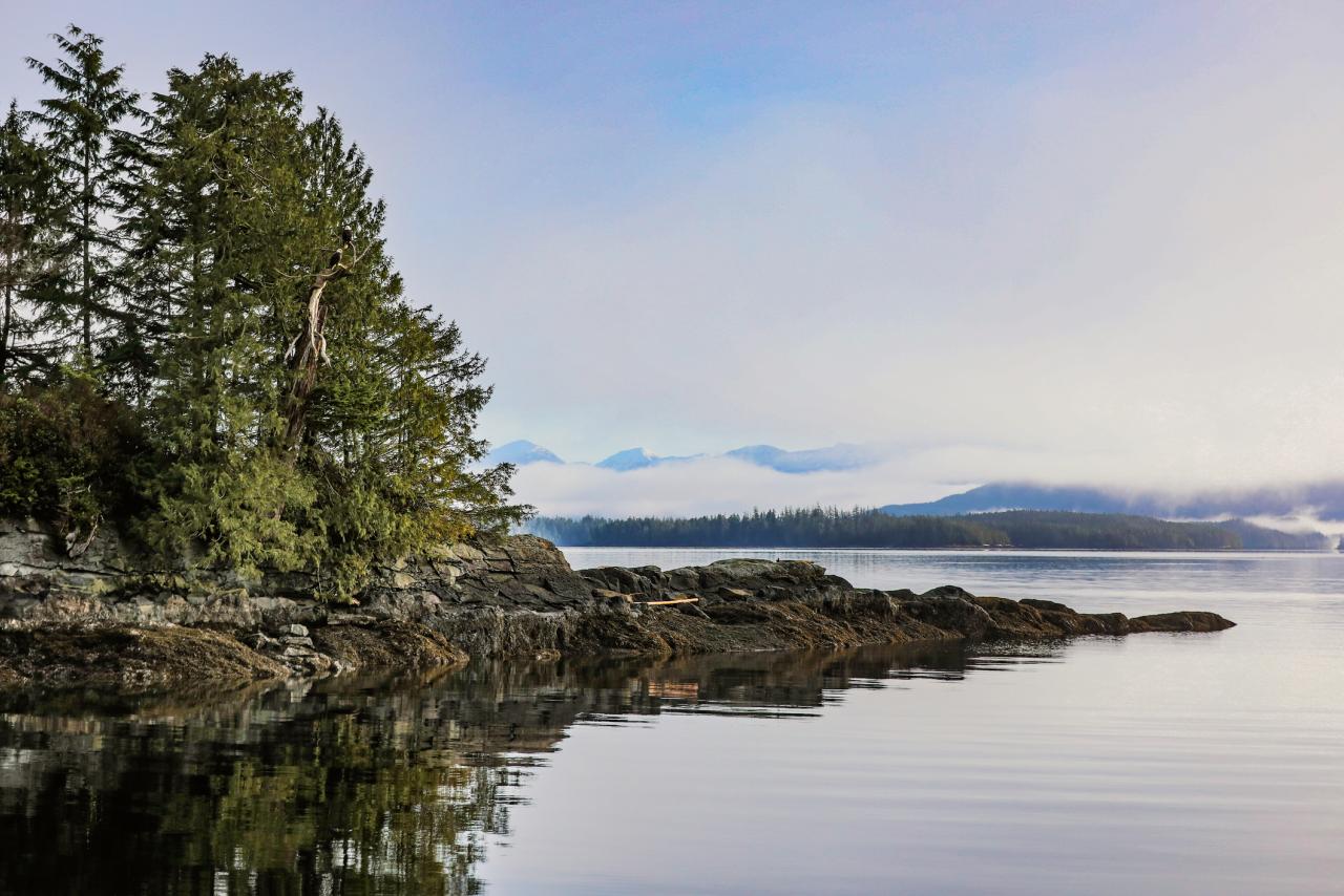 Foggy coastline near Bella Bella