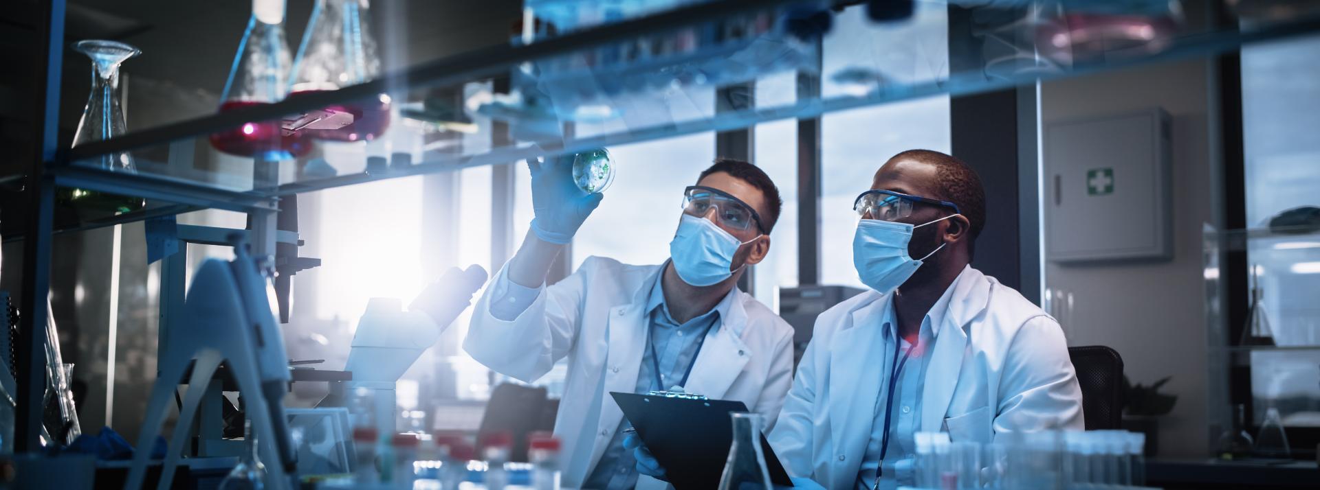 Two scientists wearing face masks analyse sample in petri dish