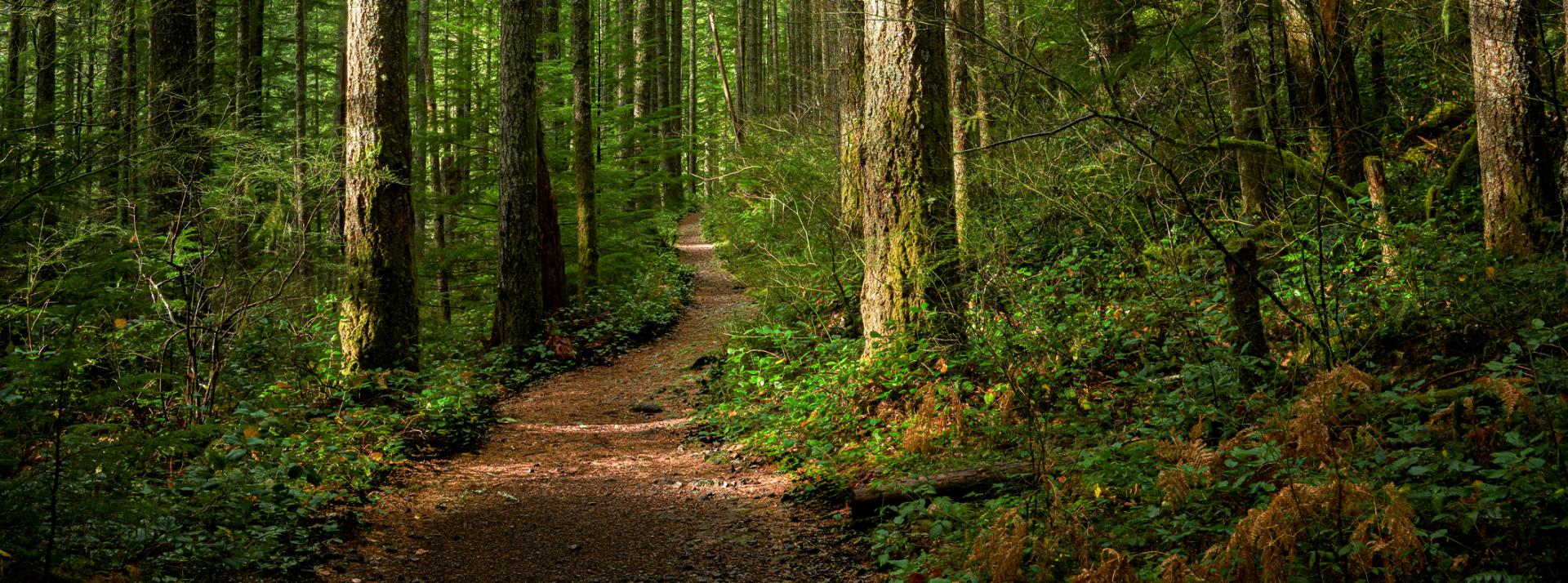 Pacific Northwest trail