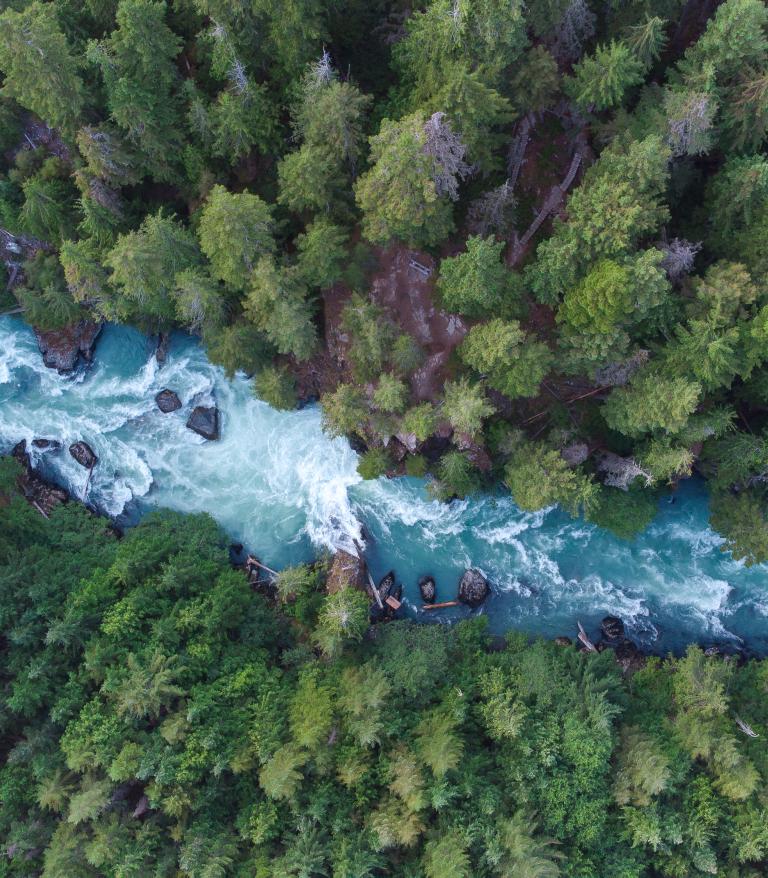 a drone photo from the sky of a winding river in a thick forest