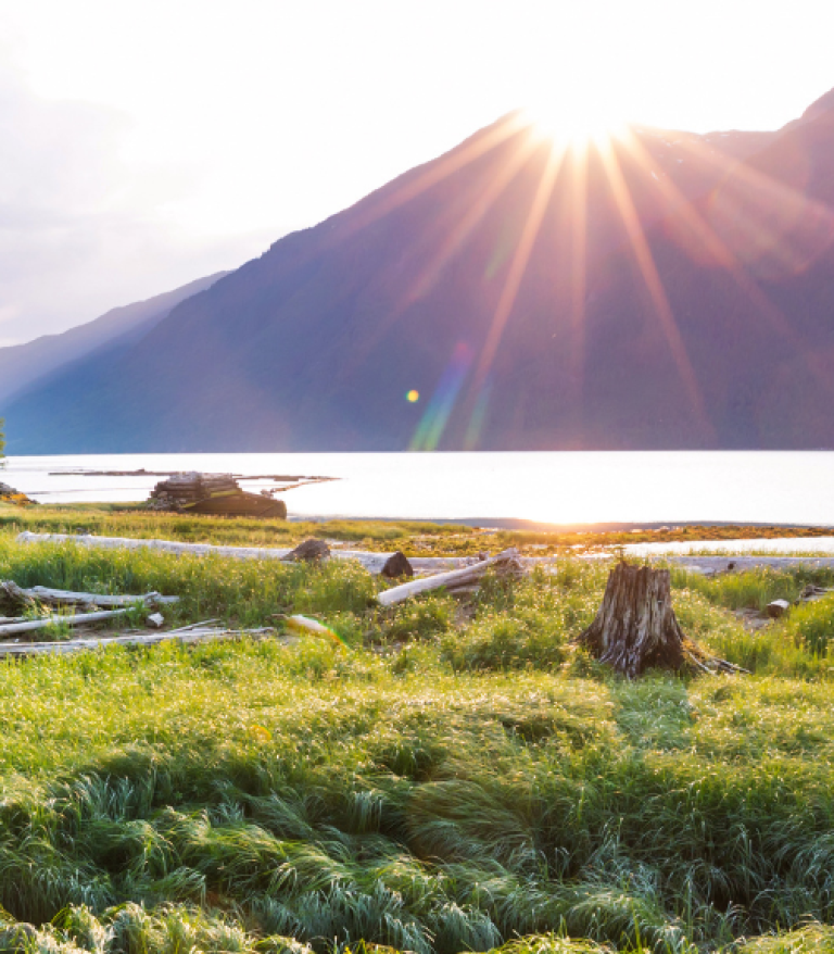 Bella Coola landscap