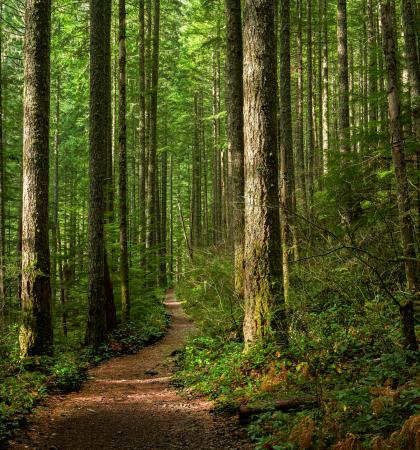 Pacific Northwest trail